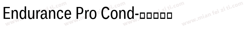 Endurance Pro Cond字体转换
